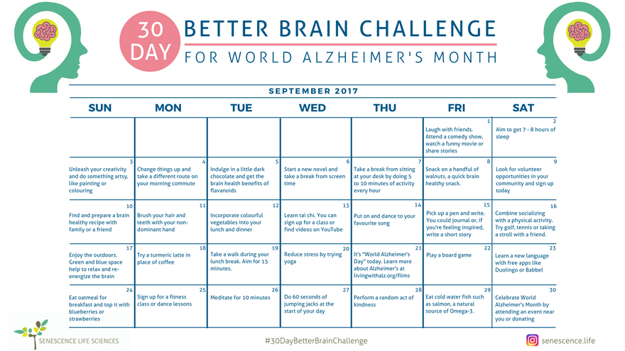 The 30 Day Better Brain Challenge!