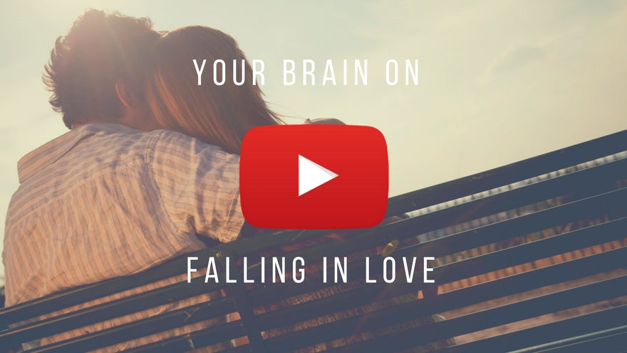 Your Brain On Falling In Love